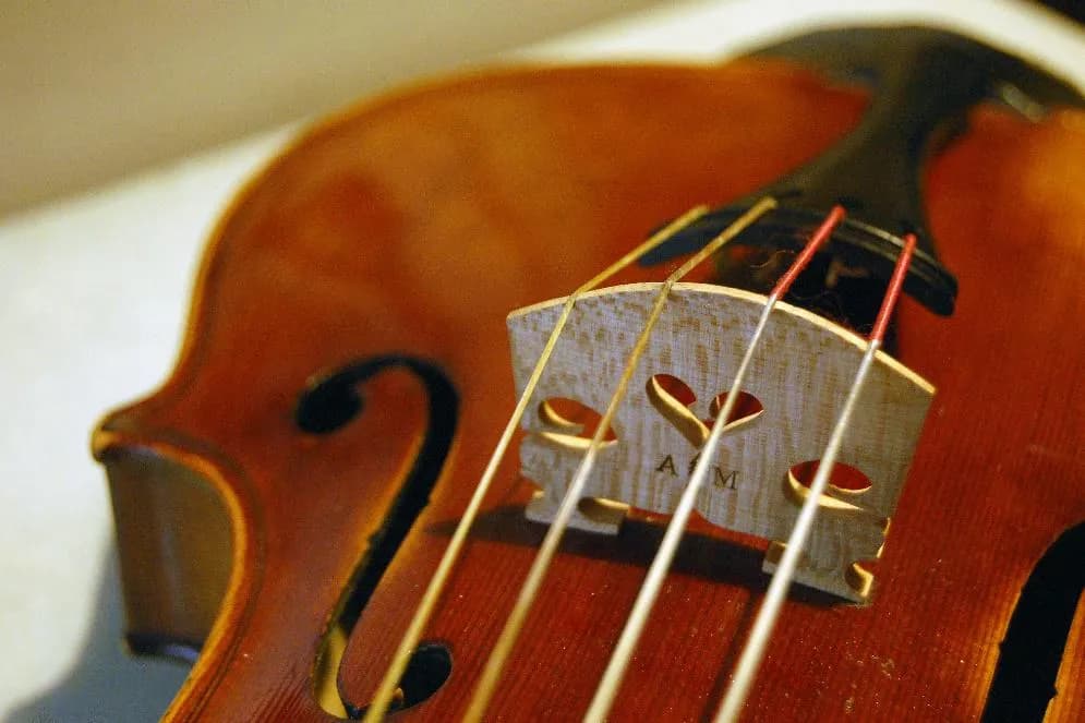 Jakie struny do skrzypiec polecacie, aby poprawić swój dźwięk?