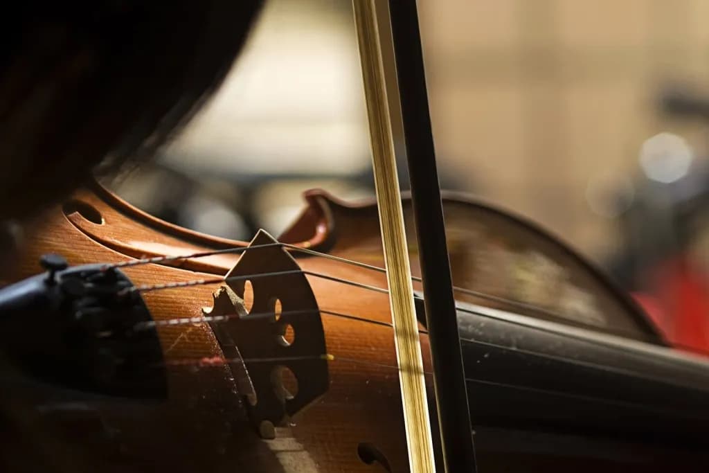 Jak się nazywa nauczyciel gry na skrzypcach i jakie ma kwalifikacje?